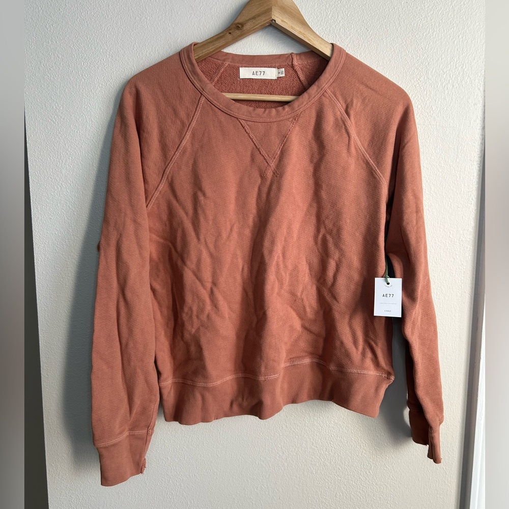 NWT AE77 $98 Distressed Crew Neck Pullover Sweatshirt Terracotta 100% Cotton S